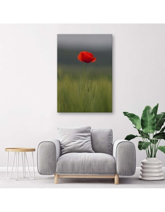 Poppy in the field - Canvas print. High quality | FEEBY