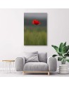 Poppy in the field - Canvas print. High quality | FEEBY