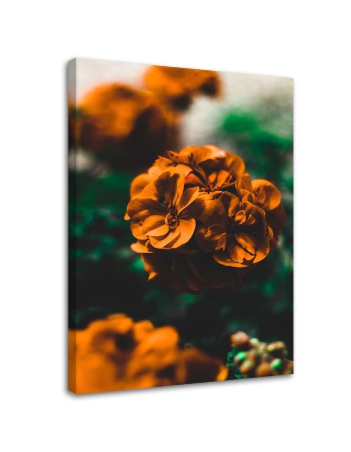 Canvas print Orange flowers