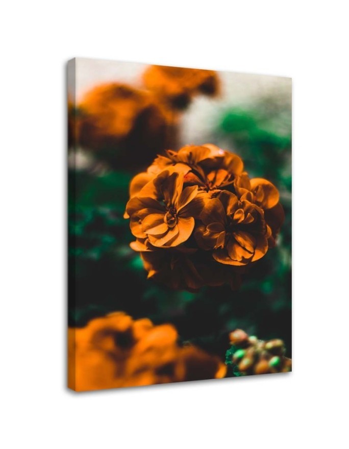 Orange flowers - Pictures on Canvas  for the living room | FEEBY