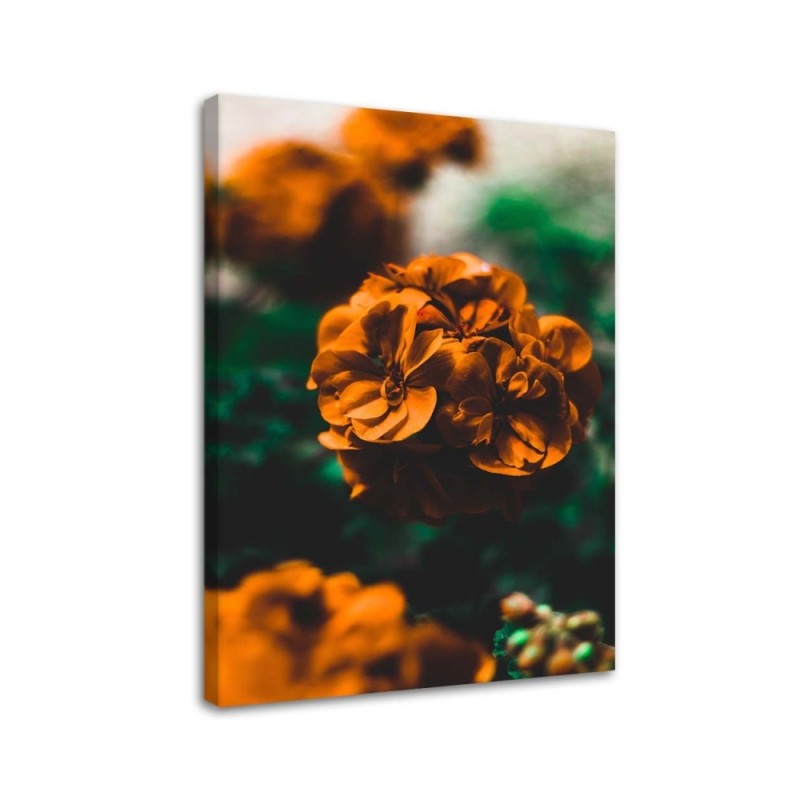 Orange flowers - Pictures on Canvas  for the living room | FEEBY