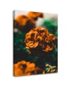 Orange flowers - Pictures on Canvas  for the living room | FEEBY
