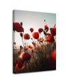 Canvas prints for living room - Poppies in the sun | FEEBY