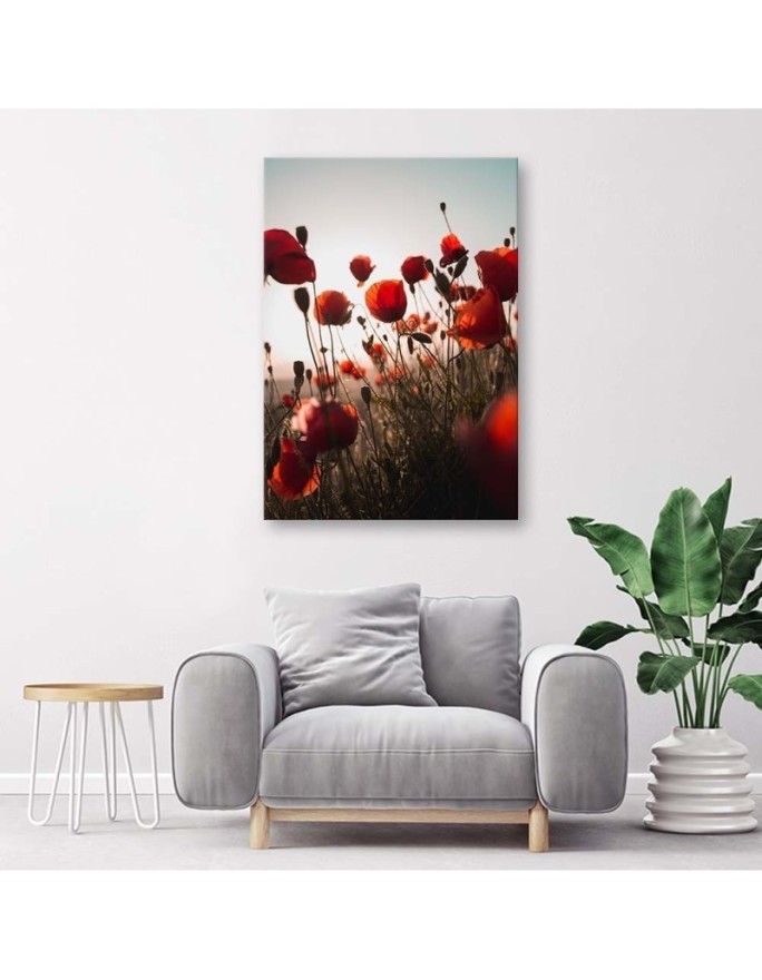 Canvas prints for living room - Poppies in the sun | FEEBY
