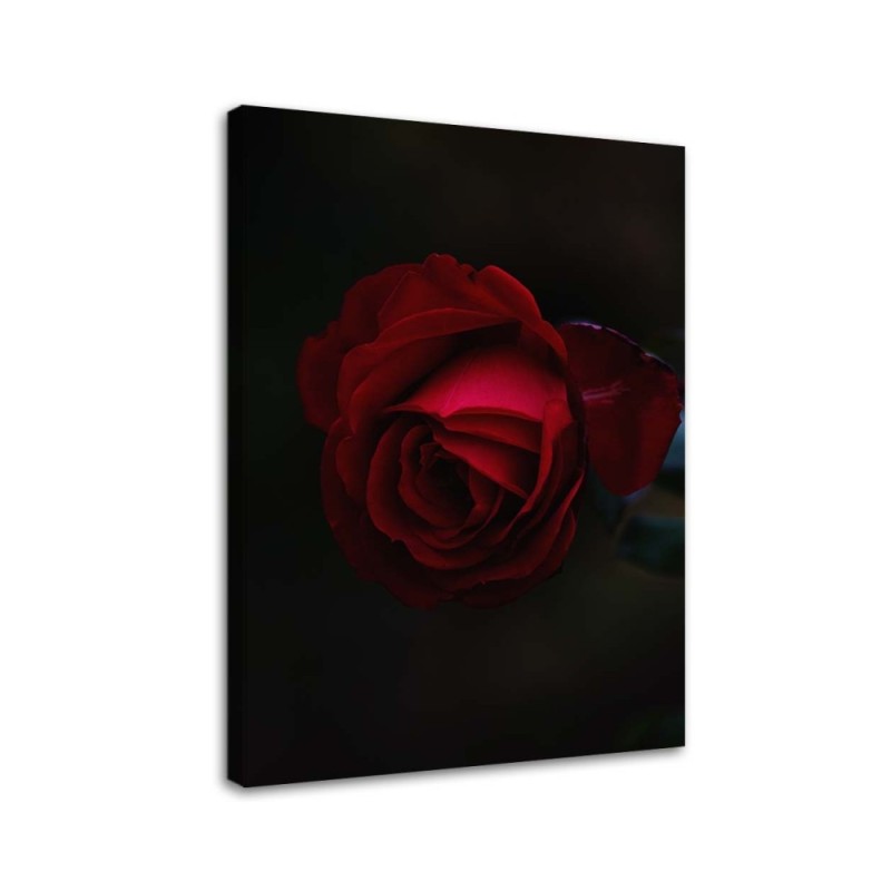 Canvas painting - Rose on black background | FEEBY