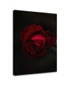 Canvas painting - Rose on black background | FEEBY