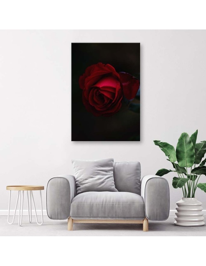 Canvas painting - Rose on black background | FEEBY