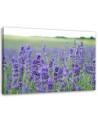 Modern Canvas painting for bedroom - Fields of lavender | FEEBY