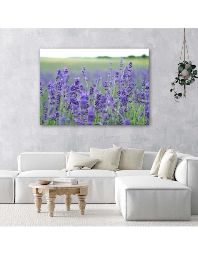 Modern Canvas painting for bedroom - Fields of lavender | FEEBY