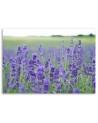 Modern Canvas painting for bedroom - Fields of lavender | FEEBY