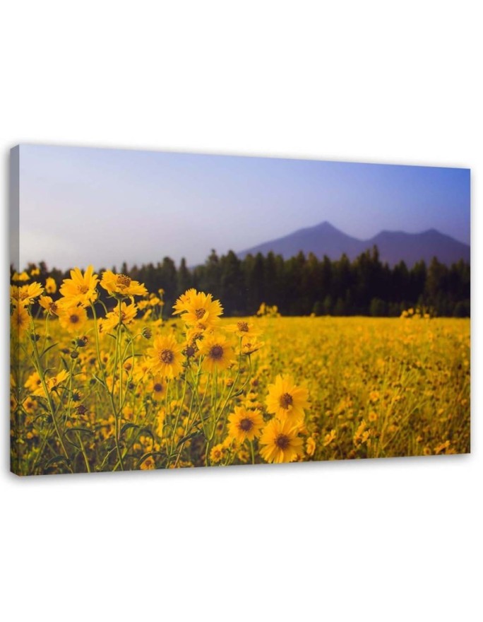 Canvas print Fields of...