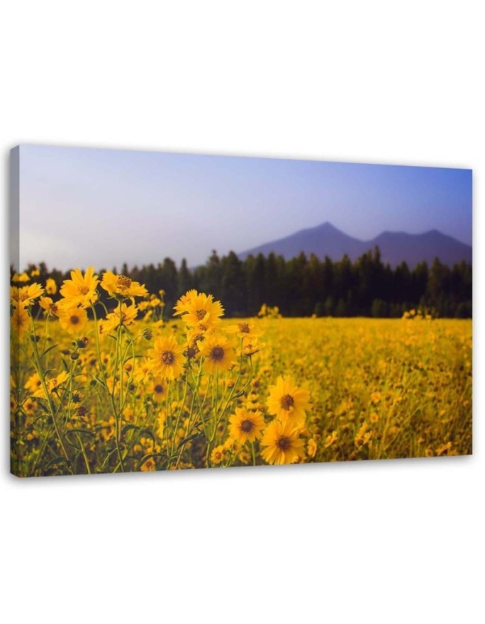 Modern bedroom Canvas painting - Fields of yellow flowers | FEEBY