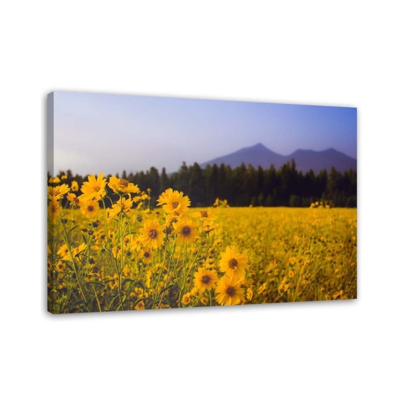 Modern bedroom Canvas painting - Fields of yellow flowers | FEEBY