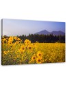 Modern bedroom Canvas painting - Fields of yellow flowers | FEEBY