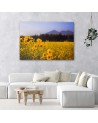 Modern bedroom Canvas painting - Fields of yellow flowers | FEEBY