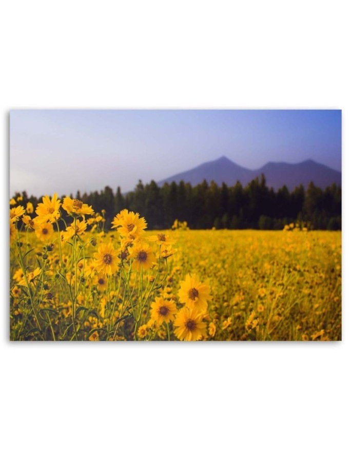 Modern bedroom Canvas painting - Fields of yellow flowers | FEEBY