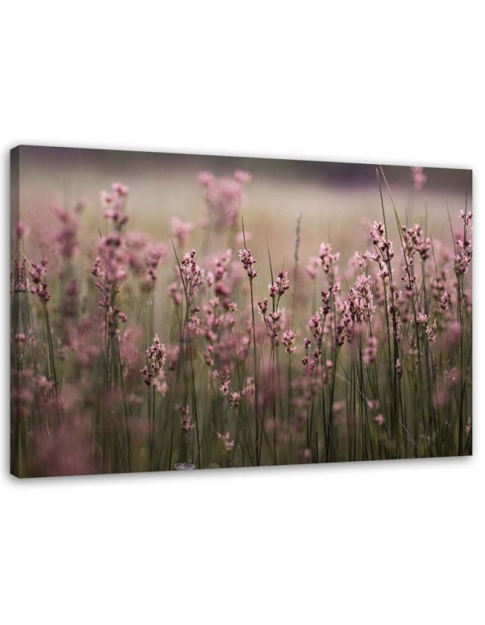 Canvas painting for living room - Pink field flowers | FEEBY
