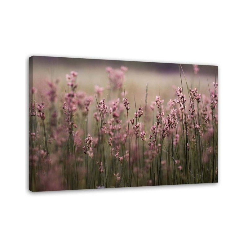 Canvas painting for living room - Pink field flowers | FEEBY