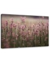 Canvas painting for living room - Pink field flowers | FEEBY
