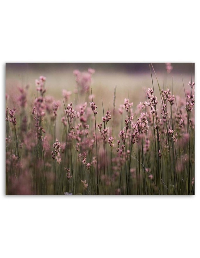 Canvas painting for living room - Pink field flowers | FEEBY