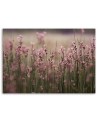 Canvas painting for living room - Pink field flowers | FEEBY