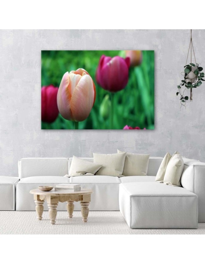 Canvas print modern - Pink tulips | FEEBY