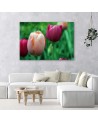 Canvas print modern - Pink tulips | FEEBY