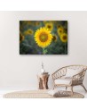 Canvas print - Young sunflower | FEEBY