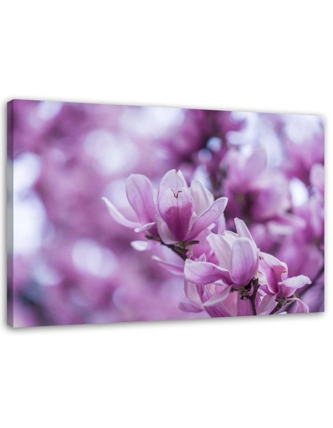 Modern Canvas painting for living room - Magnolia flowers | FEEBY
