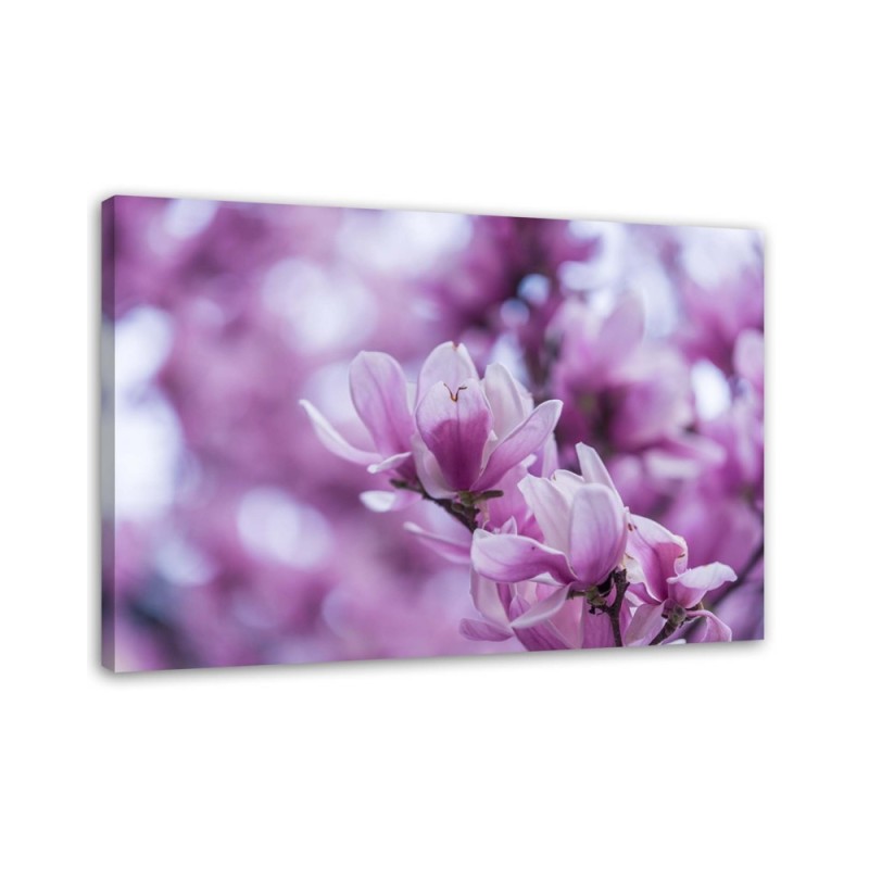 Modern Canvas painting for living room - Magnolia flowers | FEEBY