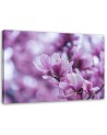 Modern Canvas painting for living room - Magnolia flowers | FEEBY