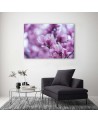 Modern Canvas painting for living room - Magnolia flowers | FEEBY