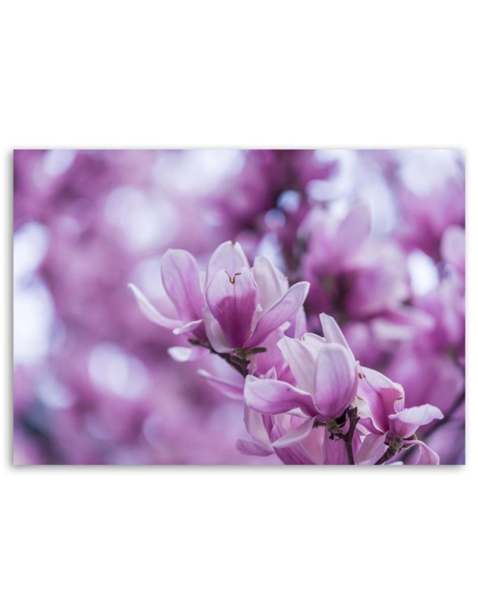 Modern Canvas painting for living room - Magnolia flowers | FEEBY
