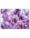 Modern Canvas painting for living room - Magnolia flowers | FEEBY