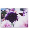 Canvas prints for living room - Dahlia flowers | FEEBY