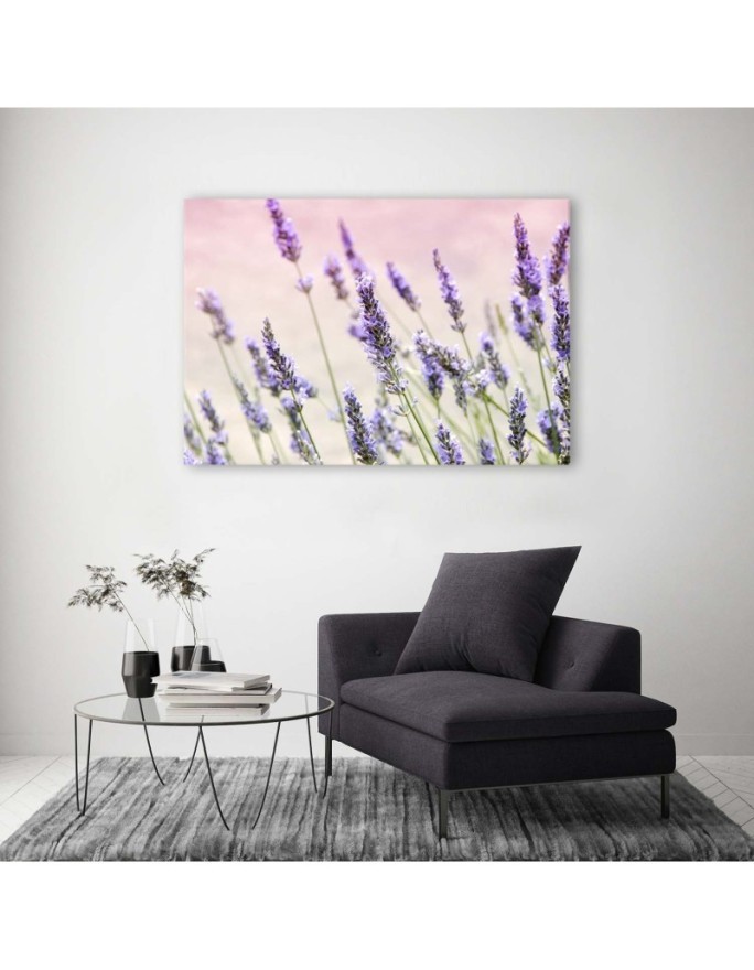 Canvas prints for living room - Lavender flowers | FEEBY