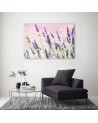 Canvas prints for living room - Lavender flowers | FEEBY
