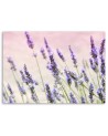 Canvas prints for living room - Lavender flowers | FEEBY