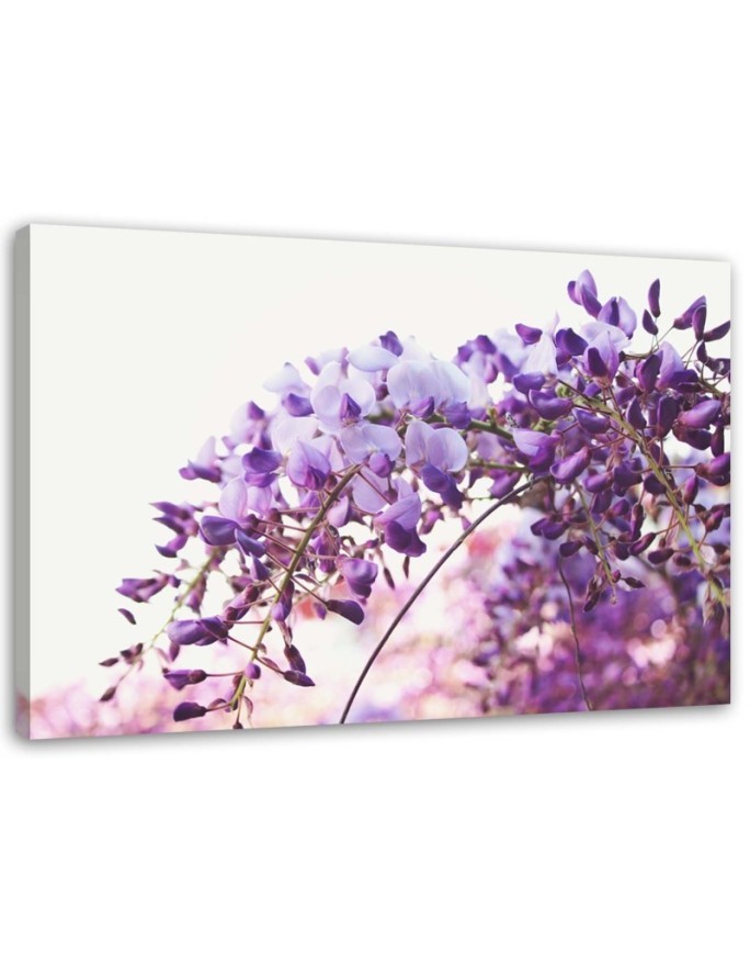 Canvas painting - Lilac glycine flowers | FEEBY