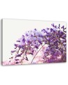 Canvas painting - Lilac glycine flowers | FEEBY