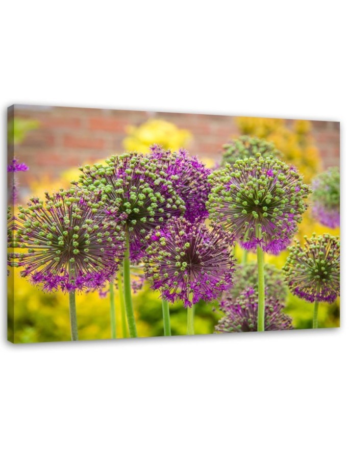 Modern painting for bedroom - Decorative garlic | FEEBY