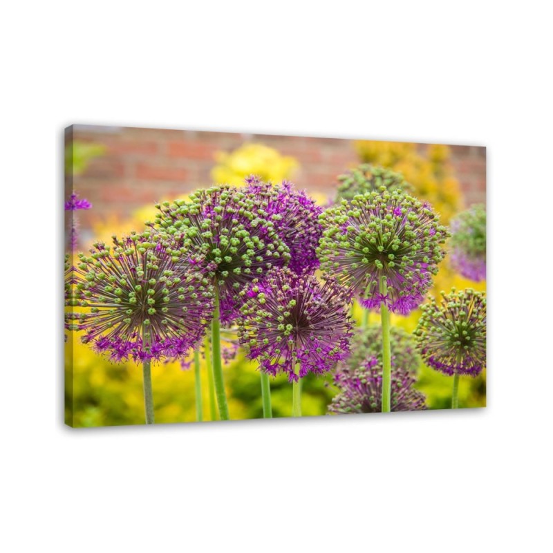 Modern painting for bedroom - Decorative garlic | FEEBY