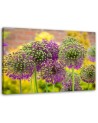 Modern painting for bedroom - Decorative garlic | FEEBY