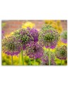 Modern painting for bedroom - Decorative garlic | FEEBY