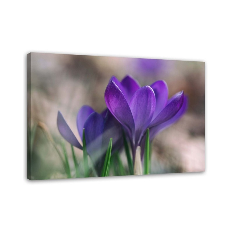 Modern bedroom painting - Spring crocuses | FEEBY