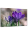 Modern bedroom painting - Spring crocuses | FEEBY