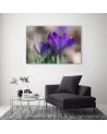 Modern bedroom painting - Spring crocuses | FEEBY