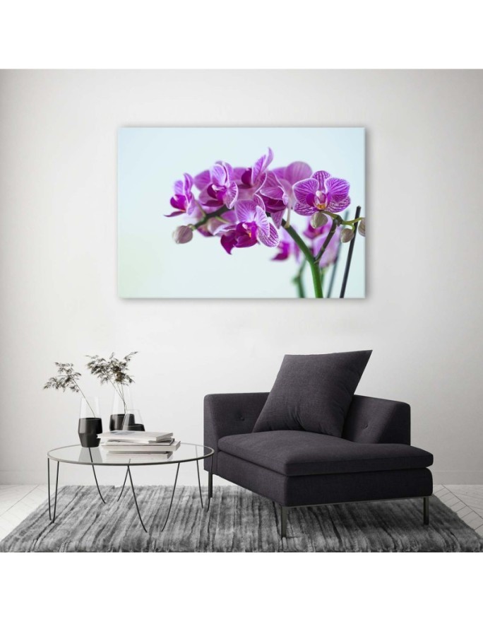 Canvas painting for the living room - Orchid branch | FEEBY