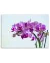 Canvas painting for the living room - Orchid branch | FEEBY