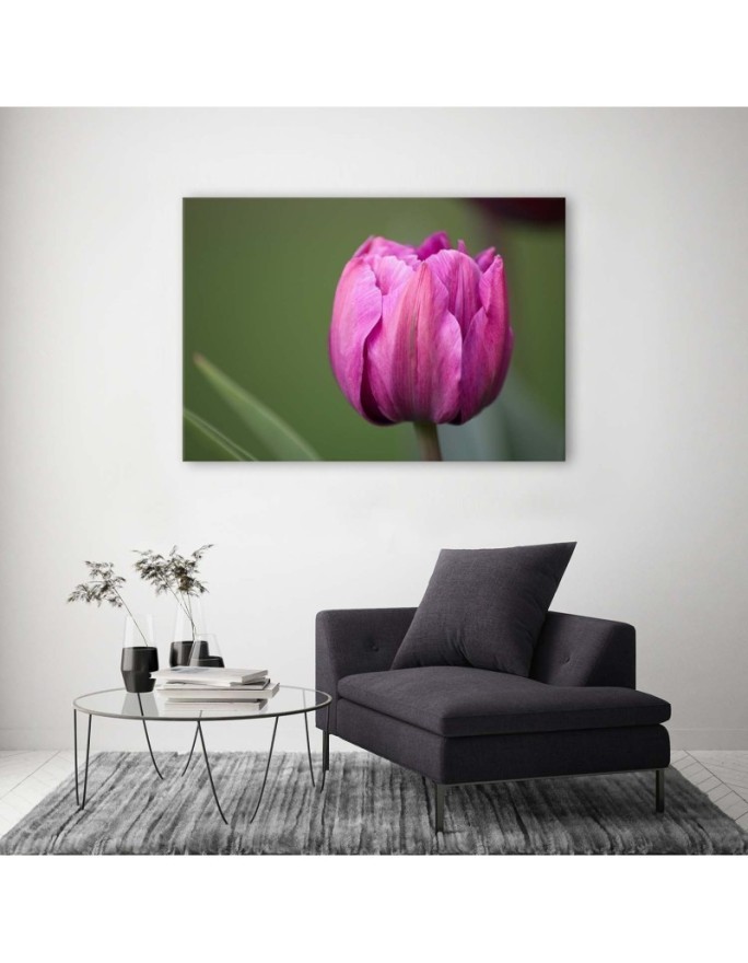 Canvas print modern - Purple tulip | FEEBY